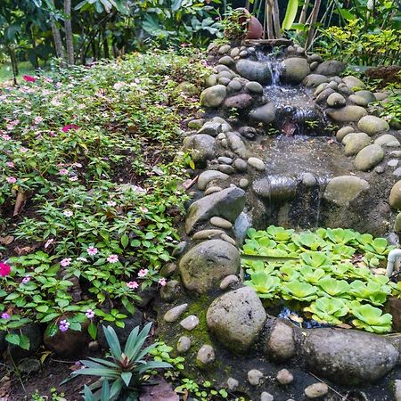 Hotel Vista Del Cerro La Fortuna Luaran gambar