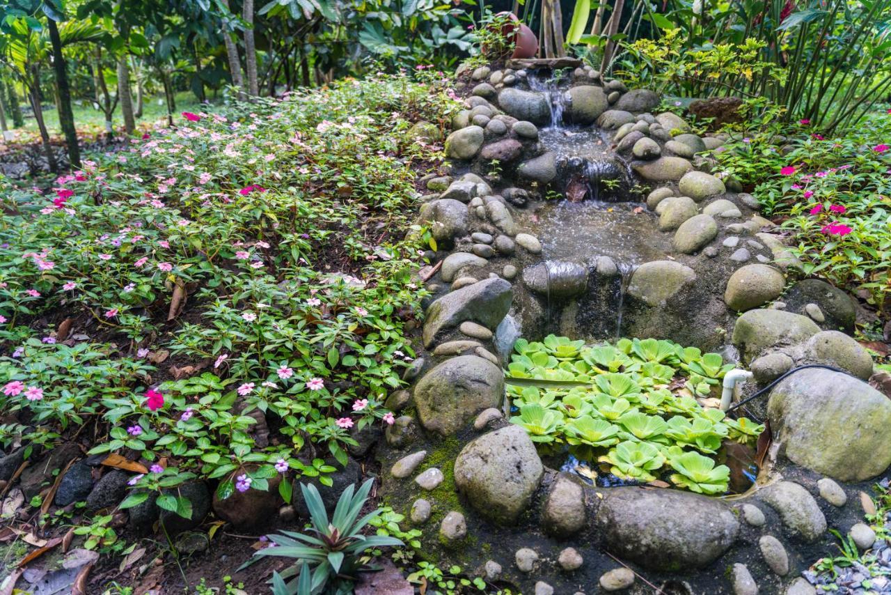 Hotel Vista Del Cerro La Fortuna Luaran gambar