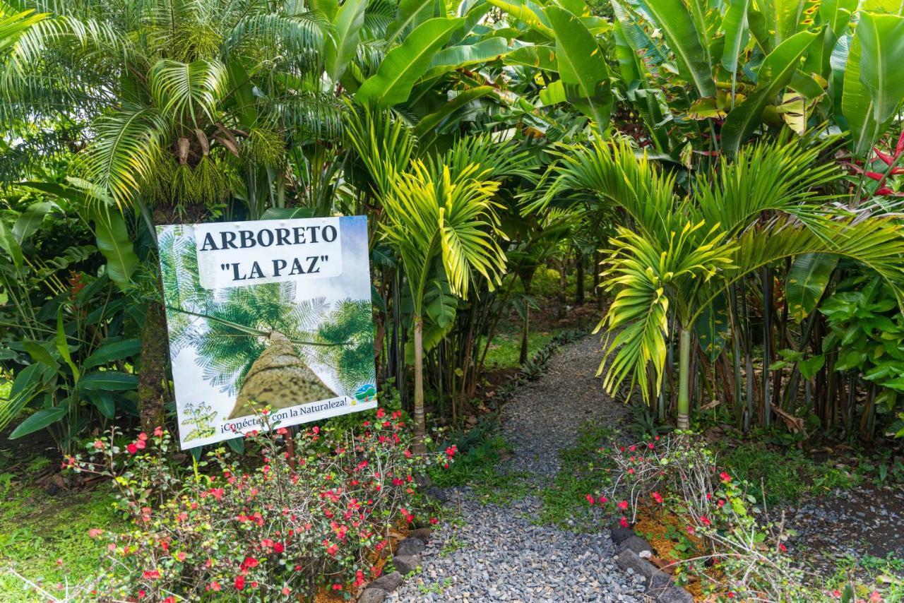 Hotel Vista Del Cerro La Fortuna Luaran gambar